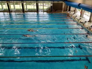concentración- equipo-nacional-natación-junior